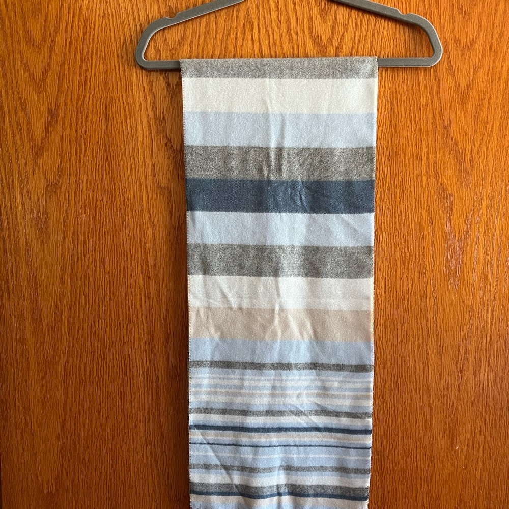 Target Blue and Gray Striped Scarf